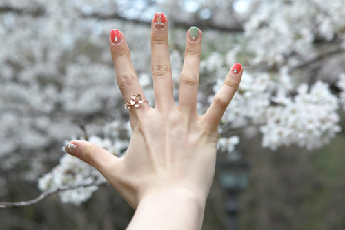 ��ǰ�̹���